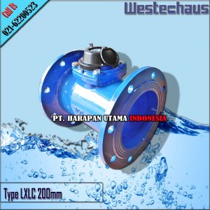 Flow Meter TOKICO 1/2 Inch